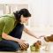 Gauge Your Pet Care Options