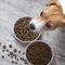 Four Signs It’s Time to Change Pet Food