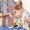 The Right Way to Save on Pet Care Services