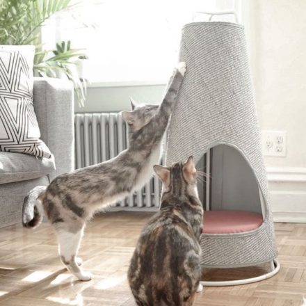 Scratching Post- An Essential Tool for Cats